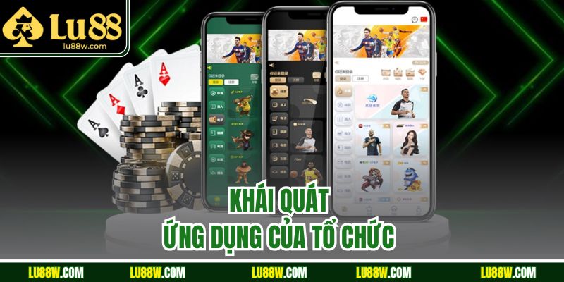 Khái quát ứng dụng của tổ chức 