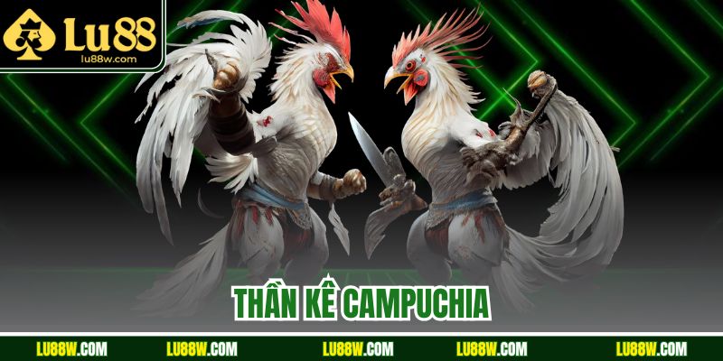Thần Kê Campuchia Là Gì? Kinh Nghiệm Chơi Hiệu Quả