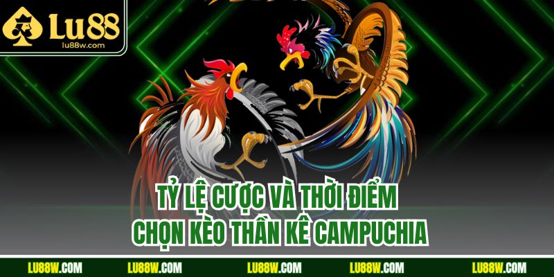 Tỷ lệ cược và thời điểm chọn kèo thần kê campuchia 